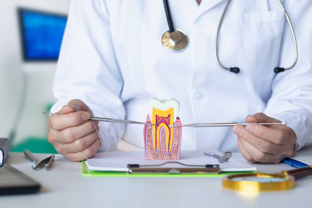 Best Chipped Tooth Repair Near Me  in Baden, PA